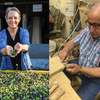 Artza helps vendors across Israel, by providing over $850,000 in revenue for small, family-owned businesses