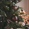 Christmas Traditions Around the World