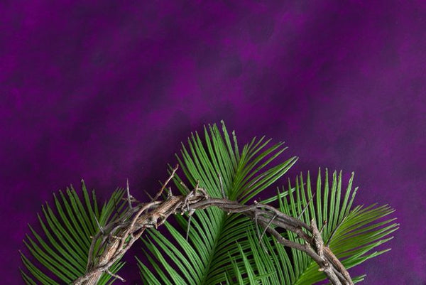 Crown of thorns resting on palm leaves