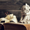 The Significance of Ezekiel and the Cherubim in the Bible