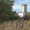 Mount of Transfiguration (Mount Tabor): All You Need to Know
