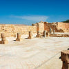 Visit Israel's Negev: History, Biblical References & Must-Visit Travel Spots Today