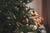 a close up of a christmas tree with ornaments
