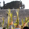 Sukkot / Festival of Tabernacles 2023