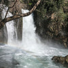 Banias Waterfall: What You Need to Know Before Visiting Israel's Largest Waterfall