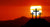 3 crosses on raised ground against a red sunset