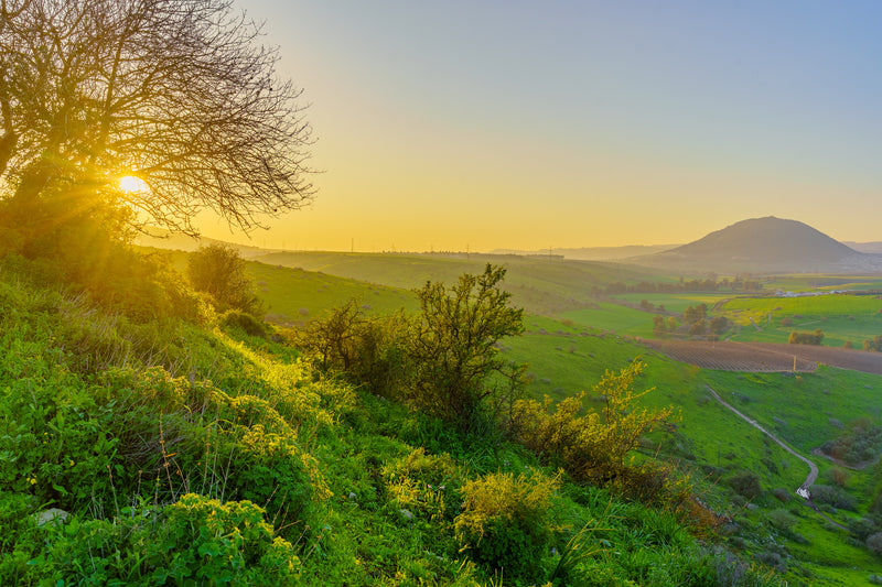 The hills of Galilee — The Jesus Trail Box